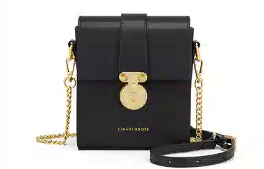 辛瓦伊·克洛斯 秋冬百搭通勤高级感轻便 牛皮 单肩包链条斜挎包手机包 常规 女款 黑色拼米白