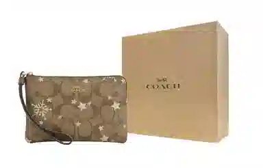 COACH Corner Zip Wristlet 16
