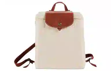 LONGCHAMP Le Pliage Original 26