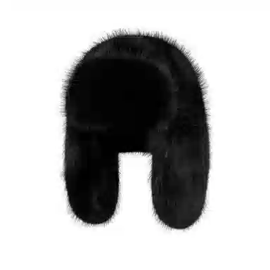BAGGL