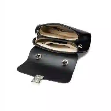 红蜻蜓 经典时尚斜挎包包秋冬百搭少女包 牛皮 高级感单肩包复古豆腐包腋下包轻便休闲通勤小方包 小号 女款 黑色/咖啡色