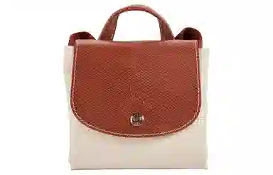 LONGCHAMP Le Pliage Original 26