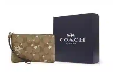 COACH Corner Zip Wristlet 16