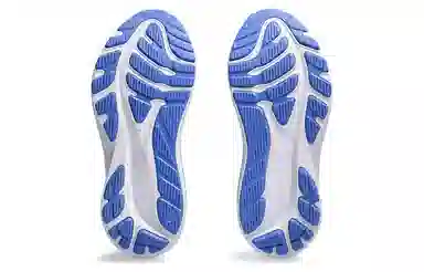 Asics GT-2000 12