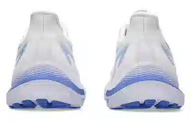 Asics GT-2000 12