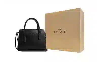 COACH ANDREA CARRYALL 22 Logo