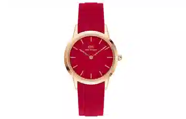 Daniel WellingtonICONIC 32mm 10ATM DW00100503