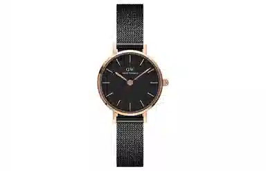 Daniel Wellington PETITE DW 24mm DW00100441