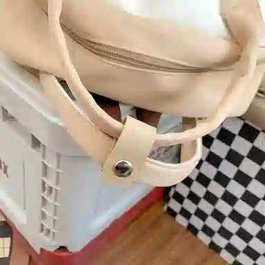 尼格尔大容量双肩包女高中生尼龙电脑旅行背包初中生书包女大学生韩版高颜值 多色