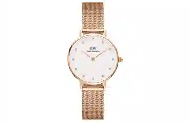 Daniel WellingtonPETITE 28mm DW DW00100528
