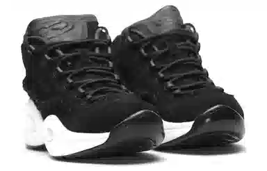 Hall Of Fame x Reebok Question Mid