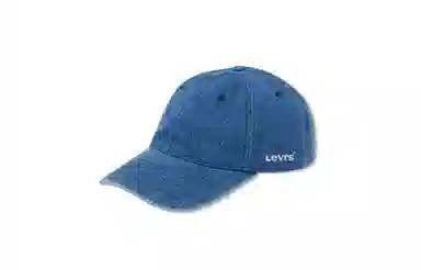 Levi's Logo Embroidered Cap