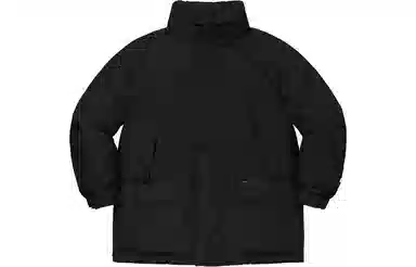 Supreme GORE-TEX Down Parka