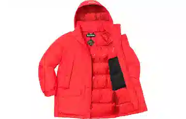 Supreme GORE-TEX Down Parka