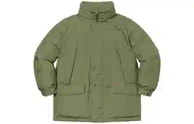 Supreme GORE-TEX Down Parka