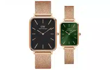 Daniel Wellington DW 36.5*29mm W466W445