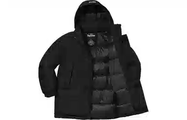 Supreme GORE-TEX Down Parka