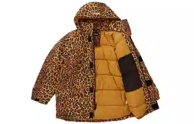 Supreme GORE-TEX Down Parka