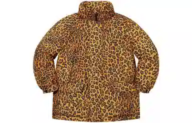 Supreme GORE-TEX Down Parka