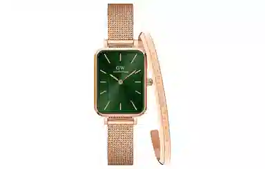 Daniel Wellington QUADRO 26*20mm W445C003