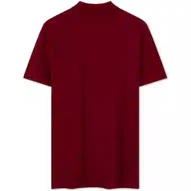 Tommy Hilfiger 1985 LogoPolo