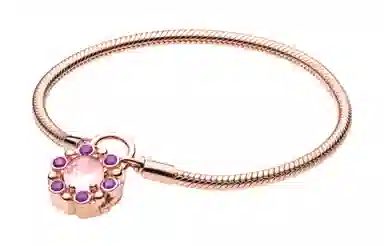 Pandora Bracelet