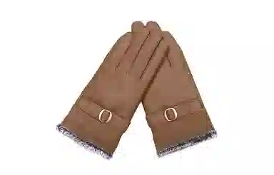 SGM