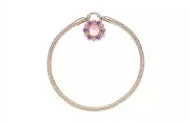 Pandora Bracelet