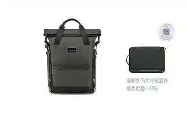 Samsonite Backpack