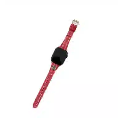 CHENSONG AppleWatchiwatch