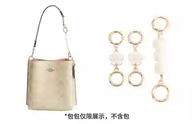 奢护匠心坊 适用蔻驰水桶包四叶草延长链 金属合金 包包肩带改造加长链条配件包带 女款 白色/直金色