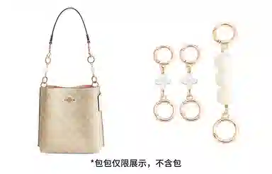 奢护匠心坊 适用蔻驰水桶包四叶草延长链 金属合金 包包肩带改造加长链条配件包带 女款 白色/直金色