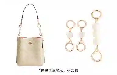 奢护匠心坊 适用蔻驰水桶包四叶草延长链 金属合金 包包肩带改造加长链条配件包带 女款 白色/直金色