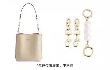 奢护匠心坊 适用蔻驰水桶包四叶草延长链 金属合金 包包肩带改造加长链条配件包带 女款 白色/直金色