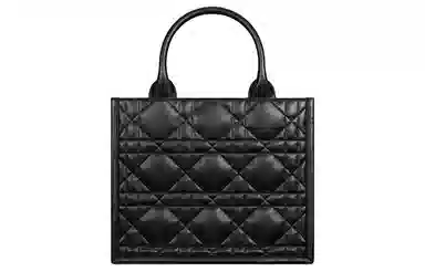 DIOR BookTote Tote