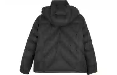 FW23
