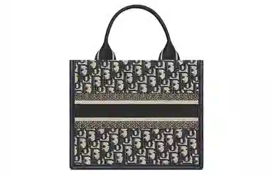 Dior Book Tote Blue