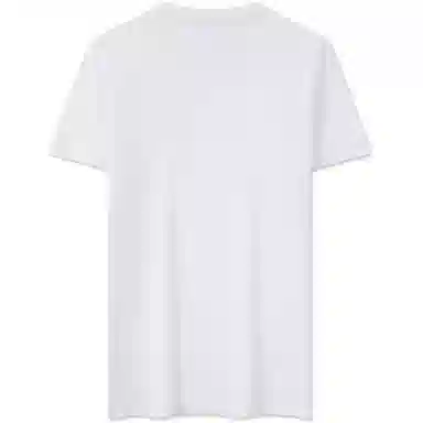 Tommy Hilfiger T