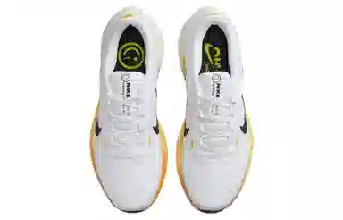 Nike Air Winflo 10