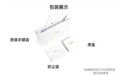 DIOR BookTote Oblique Tote