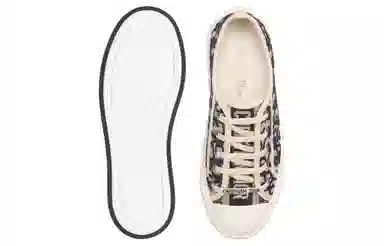 DIOR Walk'n'Dior Oblique