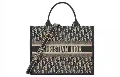 DIOR BookTote Oblique Tote