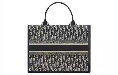 DIOR BookTote Oblique Tote