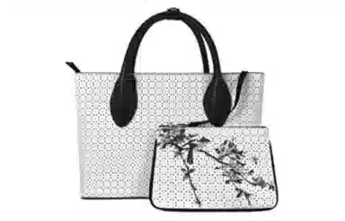 COIN QIAN Tote