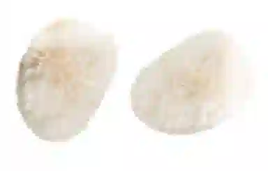 优幽兰 保暖防风防寒分体护耳朵耳捂韩版简约 耳罩 女款