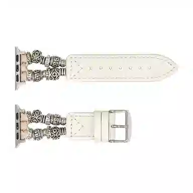 biaodaige applewatchs9iwatch