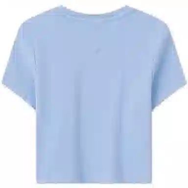 Tommy Hilfiger logo T