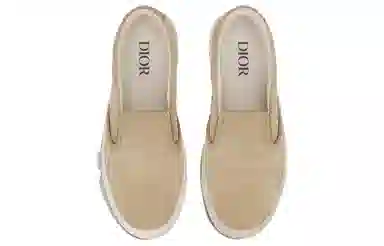 DIOR B101