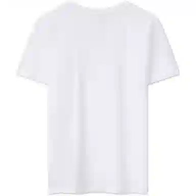 Tommy Hilfiger logo T