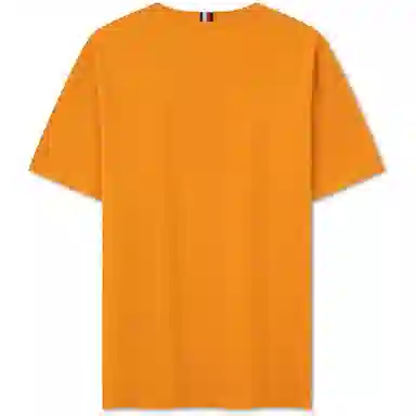 Tommy Hilfiger T